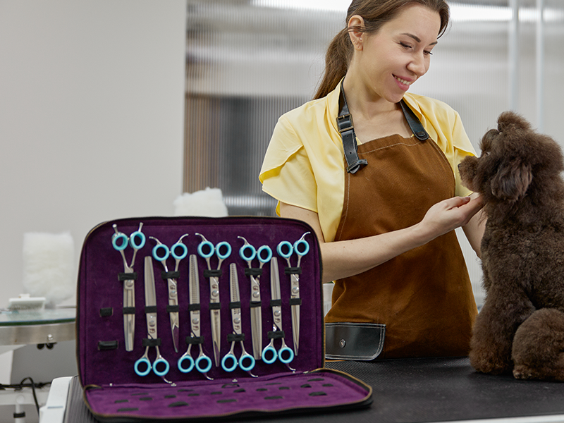 800x600-GROOMING-PHOENIX-PET-PROS_0004_portrait-of-professional-pet-groomer-and-cute-pood-2024-12-05-20-13-18-utc