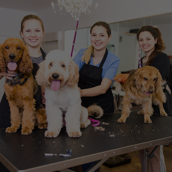 BECOME-A-PARTNER-GROOMING-ACADEMY-600x600